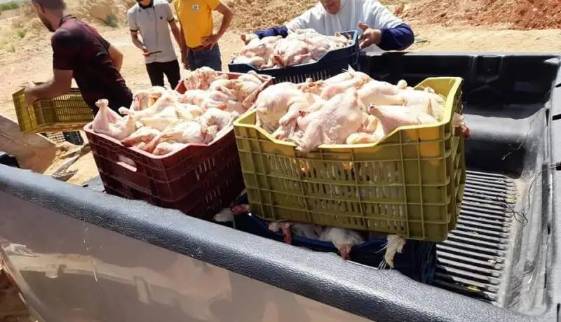 معسكر: حجز 360 كلغ دجاج فاسد