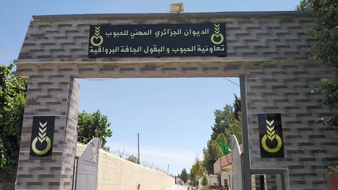 النعامـة: افتتاح شبـاك موحّـد لتسهيـل استفادة الفلاحين من قرض الرفيق