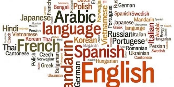 الأستاذة نورة تيغزيري: العلاقة بين اللغة والهوية “جد معقدة”