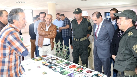 خنشلة: ضرورة تثمين منتوج شجرة الخروب