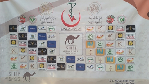 انطلاق فعاليات أول صالون دولي للإبل بمشاركة خبراء من دول أوروبية