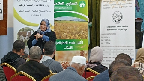 نحو مرافقة مهنيي شعبة الحبوب بالعاصمة 