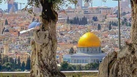 توزع عبر الوطن العربي اعتبارا من جانفي المقبل.. موسوعة تاريخية توثق لفلسطين والقدس