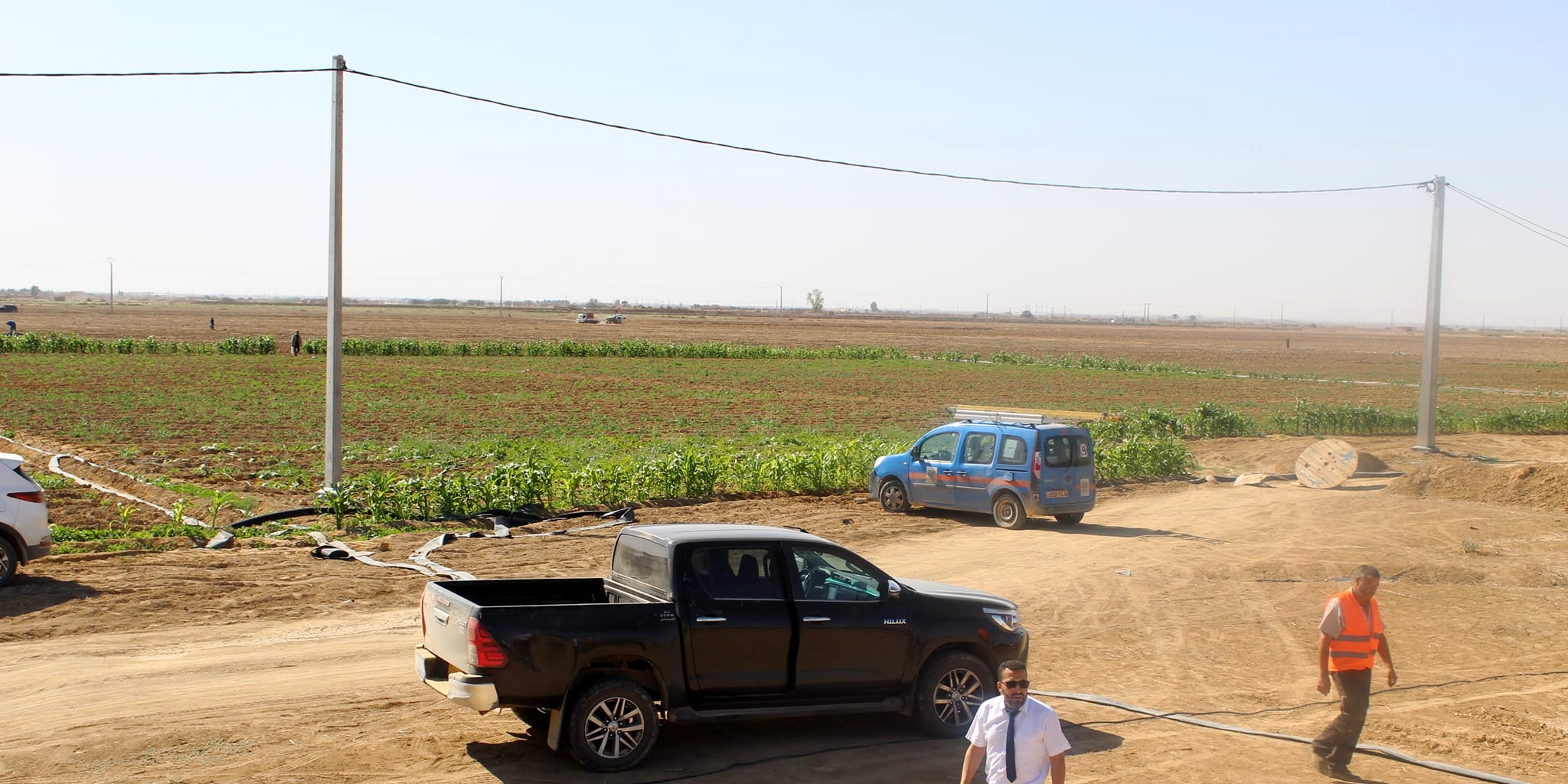 الجزائر العاصمة: ربط ثلاث مستثمرات فلاحية بالطاقة الكهربائية بالدار البيضاء