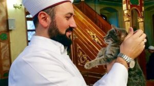 مسجد يستقبل القطط في ليالي الشتاء