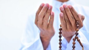 عنوان الحياة السعيدة