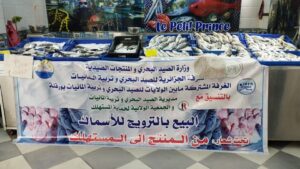 فتح أربع نقاط لبيع سمك الدنيس والبلطي بأسعار معقولة بورقلة