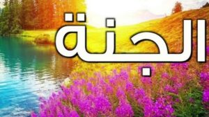 سؤال وجواب.. هل يلتقي الزوج بزوجته وأبنائه في الجنة ؟