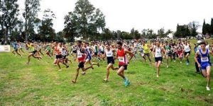 1200 عداء يشارك في الطبعة السابعة للعدو الريفي بسطيف