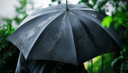  مطرنا برحمة الله