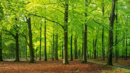 سنريهم آياتنا في الآفاق.. الأرض أشبه بكائن حي