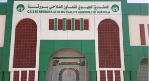 ورقلة:مشروع “دار الفلاح” في الأفق لمرافقة الفلاحين و المتعاملين الإقتصاديين بالجنوب
