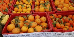 العاصمة و البليدة تستعدان للمعرض الوطني للحمضيات 