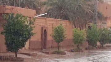 تواصل تساقط الأمطار على عدد من ولايات جنوب الوطن
