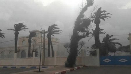 رياح قوية مرتقبة على عدد من ولايات الوطن يومي الأحد والإثنين