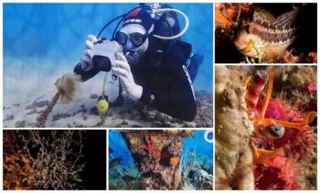 الجمهور يغوص في أعماق البحر عبر عدسة 14مبدعا