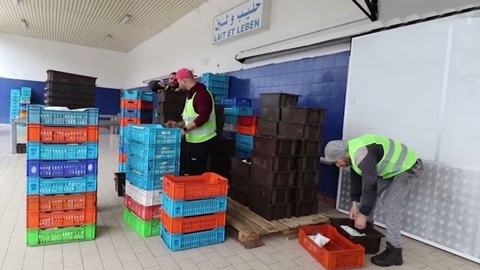 رفع إنتاج الحليب إلى أكثر من 255 ألف لتر بقسنطينة