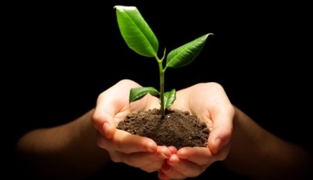 التعاون – أهميته وفوائده –