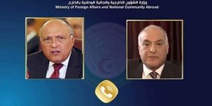 اتفاق جزائري-مصري على مواصلة الجهود للدفع بآليات التعاون الثنائي بين البلدين