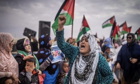 سويسرا : ملتمس من أجل المساهمة في ضمان حق الشعب الصحراوي في تقرير المصير