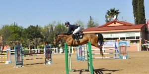 تتويج الفارس بن ثابت بالجائزة الكبرى “نجمتين”