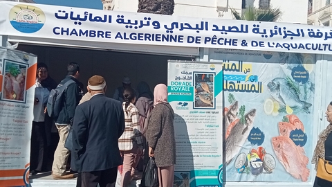 صيد بحري: انطلاق عملية البيع المباشر “من المنتج إلى المستهلك” بالعاصمة