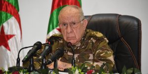 الفريق أول السعيد شنقريحة: الجزائر ستظل رقما مهما وفاعلا أساسيا في المعادلة الإفريقية