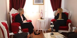 الهلال الأحمر الجزائري واليونيسف يتباحثان التكفل باللاجئين الصحراويين