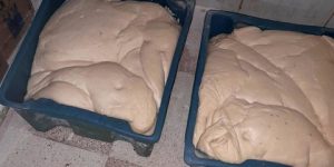 ضبط 5.55 قنطار من العجائن المخمرة الفاسدة بالوادي