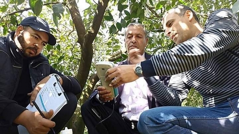رقمنة سابع مستثمرة في العاصمة