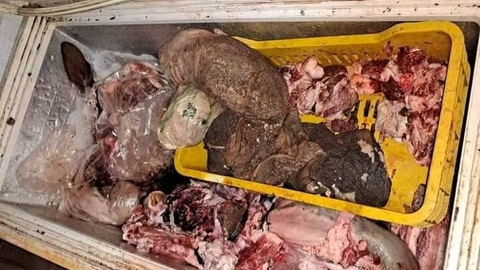 إتلاف قرابة 700 كلغ من أحشاء الأبقار بالحراش 
