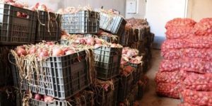 حجز أكثر من 28 طن من البصل الأحمر في بومرداس