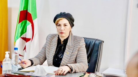 دراسة لإعادة هيكلة المهرجانات المحلّية للفنون والثقافات الشعبية