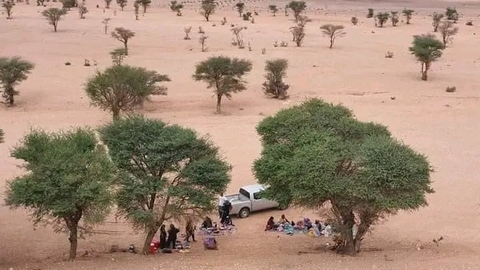 تندوف.. برامج مكثفة لتطوير وتوسيع مساحات الأرقان