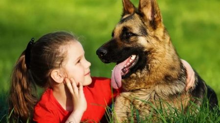 سنريهم آياتنا في الآفاق.. لعاب الكلب قد يكون قاتلا