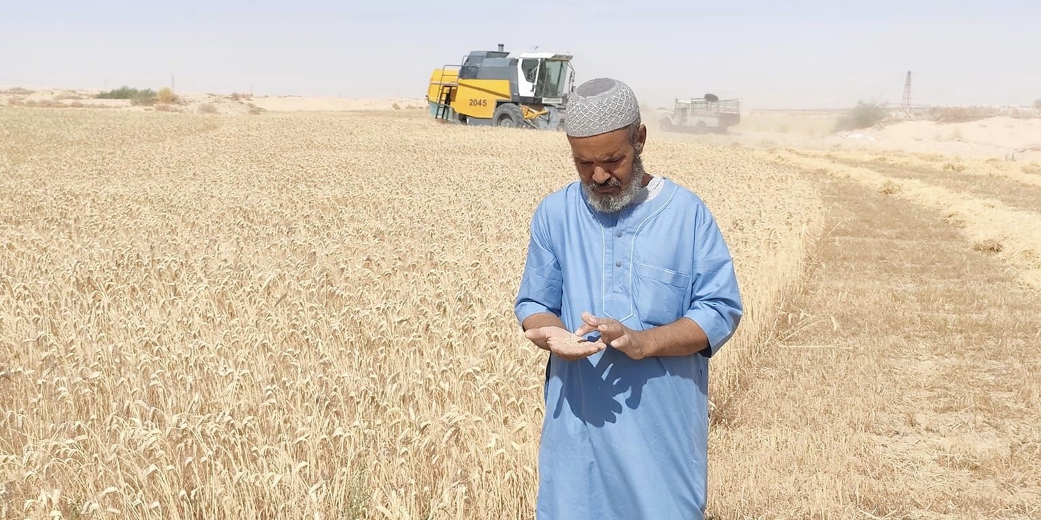 باتنة..  إحصاء نحو ألفي فلاح متضرر من الجفاف و تقلبات الطقس