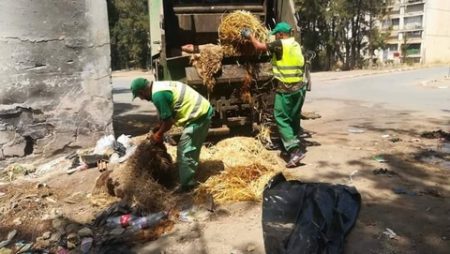 حملات تحسيسية في كيفية التعامل مع نفايات عيد الاضحى بالعاصمة
