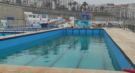 تهيئة مسبح الكتاني بباب الوادي