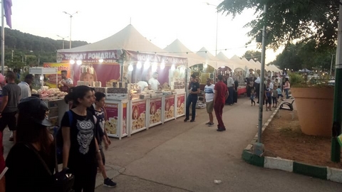 مشاركة أزيد من 150 حرفيا في معارض الصناعة التقليدية بتلمسان