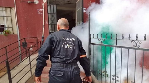 تدخلات للقضاء على الحشرات الطائرة ببراقي 