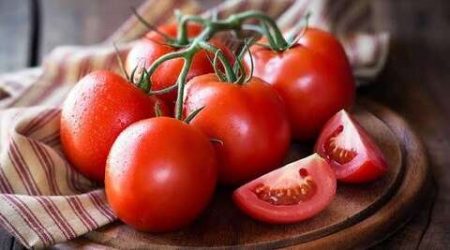صحتنا في غذائنا.. فوائد الطماطم في تعزيز المناعة وتقويتها