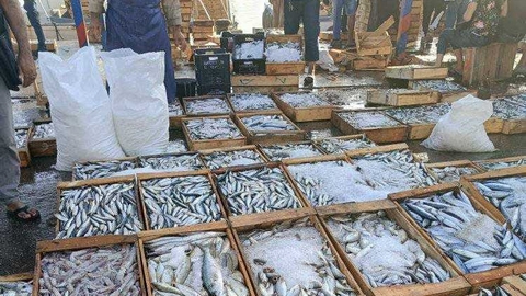 بومرداس.. إنتاج حوالي 3700 طن من الأسماك منذ بداية سنة 2023