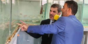 بداني: ورقلة ولاية ”نموذجية” في تربية المائيات