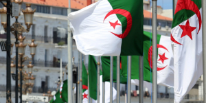 الإشادة بدور الجزائر في ترقية الشباب الإفريقي لبناء قارة قوية ومتحدة