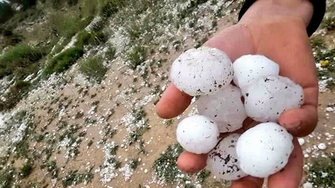 سطيف.. تعويض 29 فلاحا متضررا بسبب تساقط حبات البرد
