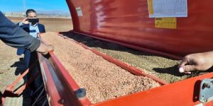 لجان تفتيش عبر 34 ولاية لمتابعة حملة الحرث والبذر