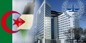 هكذا ستكسر الجزائر شوكة الكيان الصهيوني بالسلاح القانوني