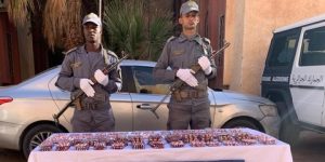 الطارف: حجز قرابة 12 ألف قرص مهلوس 