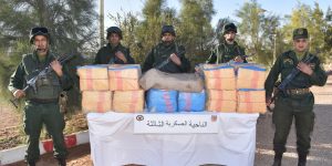 القبض على12 عنصر دعم للجماعات الارهابية وإحباط إدخال 13 قنطارا من الكيف عبر المغرب