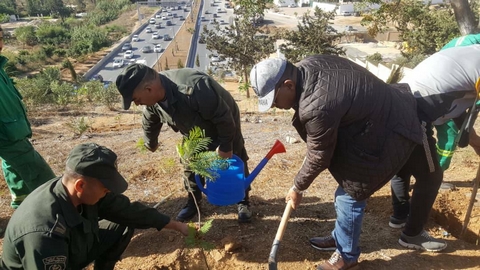مواصلة عمليات التشجير على مستوى ولاية الجزائر تحت شعار”معا من أجل بيئة نظيفة”